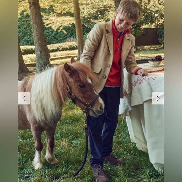 NWT Bella Bliss Wool Blend Camel Blazer Jacket Size 7 - Picture 10 of 11